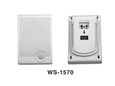 型号：WS-1570室内壁挂音箱